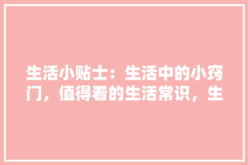 17火星软件SEO首页优化专家，助您轻松提升网站排名