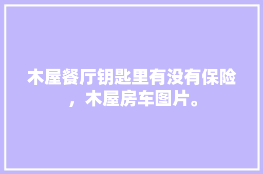 H1标签在SEO优化中的关键作用与实战方法