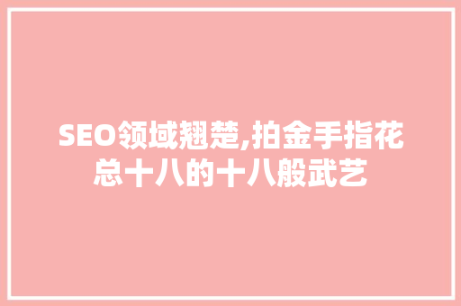 SEO领域翘楚,拍金手指花总十八的十八般武艺