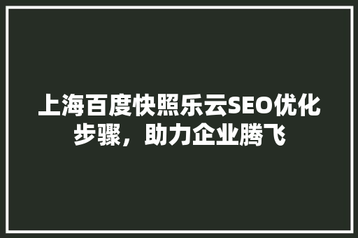上海百度快照乐云SEO优化步骤，助力企业腾飞