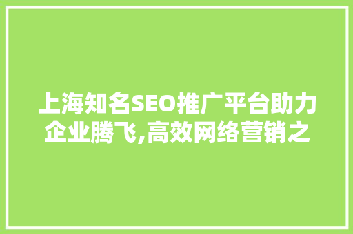 上海知名SEO推广平台助力企业腾飞,高效网络营销之路