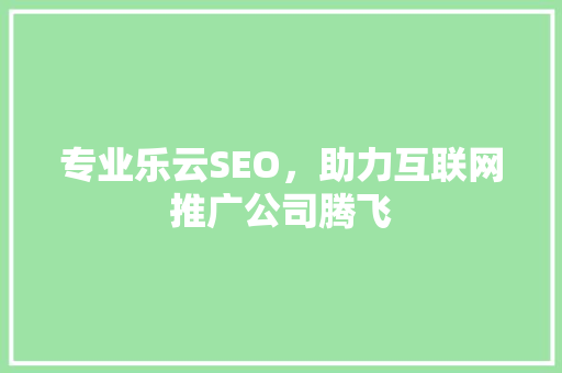专业乐云SEO，助力互联网推广公司腾飞