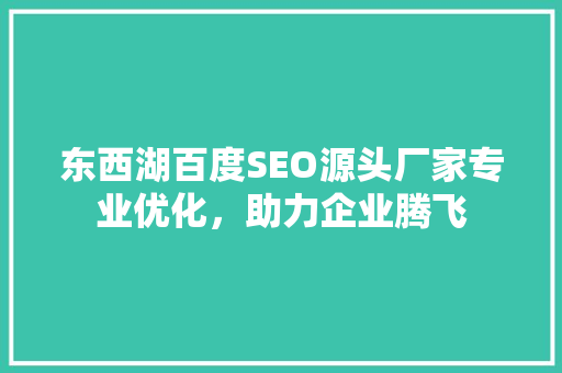 东西湖百度SEO源头厂家专业优化，助力企业腾飞
