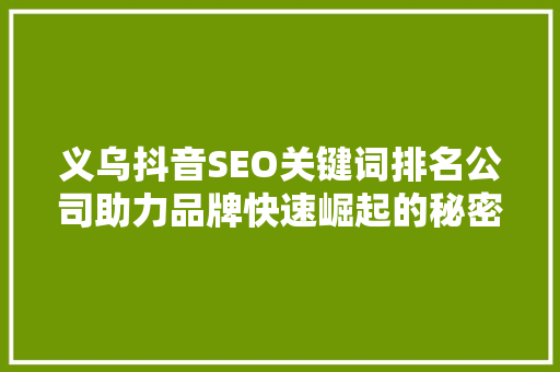 义乌抖音SEO关键词排名公司助力品牌快速崛起的秘密武器