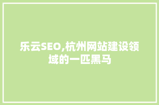 乐云SEO,杭州网站建设领域的一匹黑马