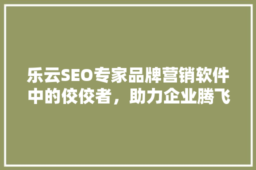 乐云SEO专家品牌营销软件中的佼佼者，助力企业腾飞