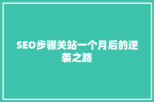 SEO步骤关站一个月后的逆袭之路