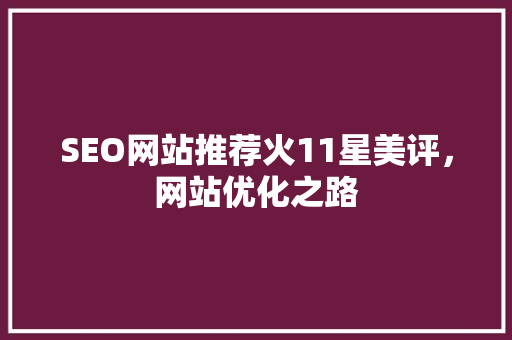 SEO网站推荐火11星美评，网站优化之路