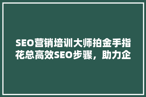 SEO营销培训大师拍金手指花总高效SEO步骤，助力企业腾飞