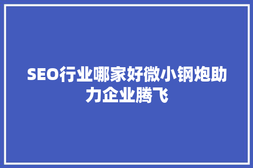 SEO行业哪家好微小钢炮助力企业腾飞