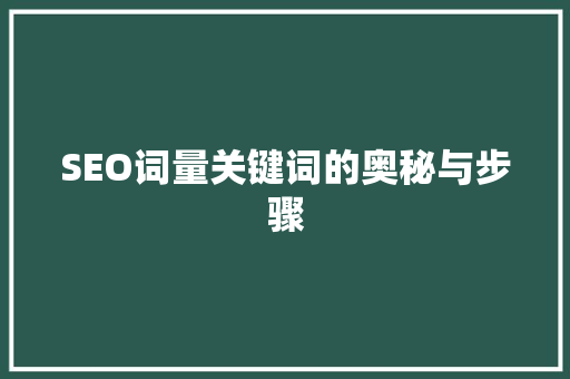 SEO词量关键词的奥秘与步骤