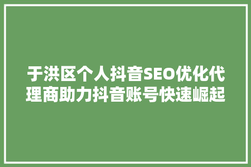 于洪区个人抖音SEO优化代理商助力抖音账号快速崛起的秘密武器