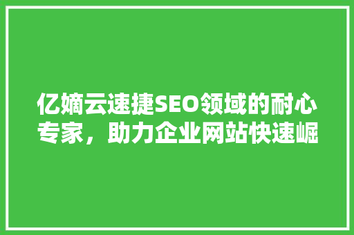 亿嫡云速捷SEO领域的耐心专家，助力企业网站快速崛起