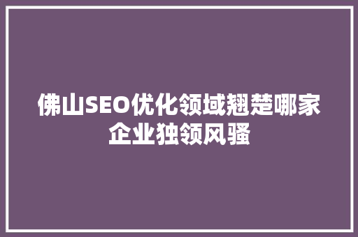 佛山SEO优化领域翘楚哪家企业独领风骚