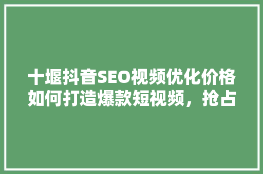 十堰抖音SEO视频优化价格如何打造爆款短视频，抢占流量高地