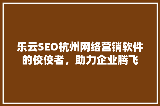 乐云SEO杭州网络营销软件的佼佼者，助力企业腾飞