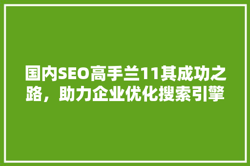 国内SEO高手兰11其成功之路，助力企业优化搜索引擎排名
