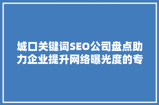 城口关键词SEO公司盘点助力企业提升网络曝光度的专业力量