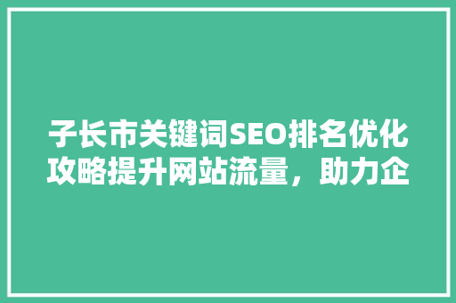 子长市关键词SEO排名优化攻略提升网站流量，助力企业发展