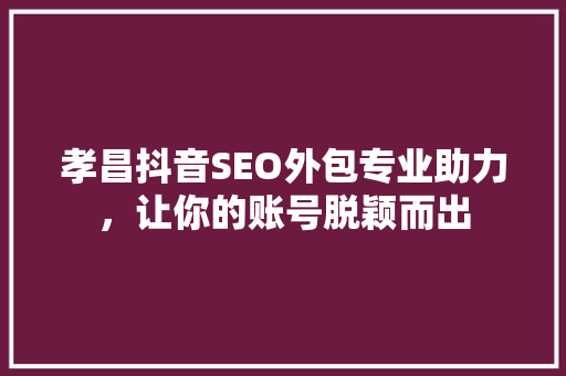 孝昌抖音SEO外包专业助力，让你的账号脱颖而出