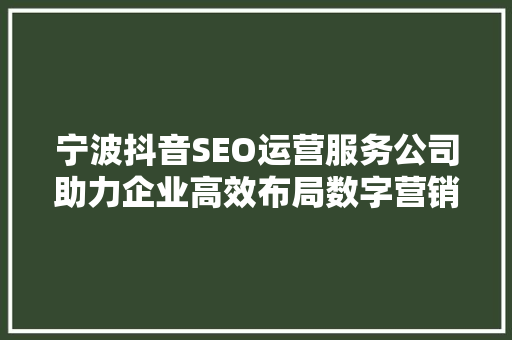 宁波抖音SEO运营服务公司助力企业高效布局数字营销新战场