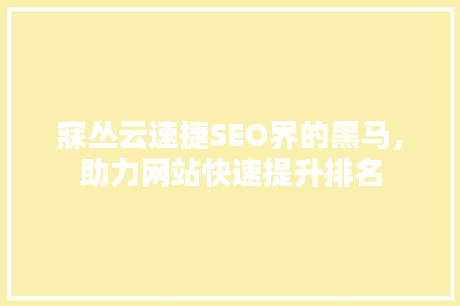 寐丛云速捷SEO界的黑马，助力网站快速提升排名