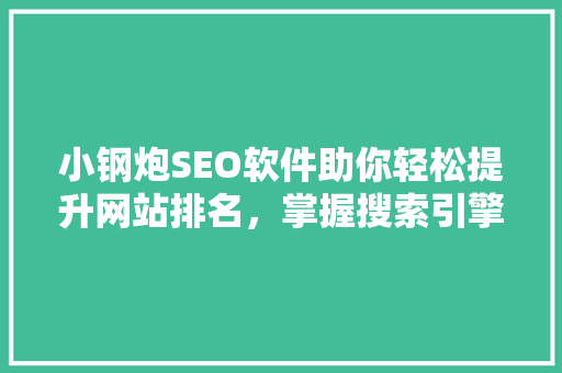 小钢炮SEO软件助你轻松提升网站排名，掌握搜索引擎优化之路
