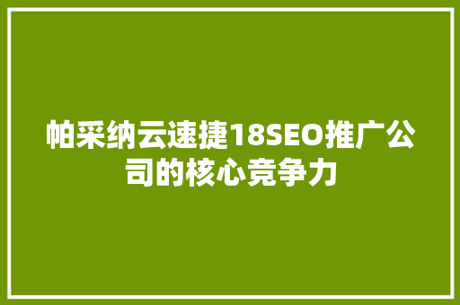 帕采纳云速捷18SEO推广公司的核心竞争力