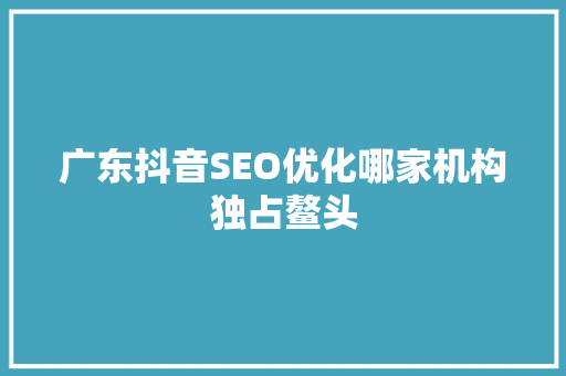 广东抖音SEO优化哪家机构独占鳌头