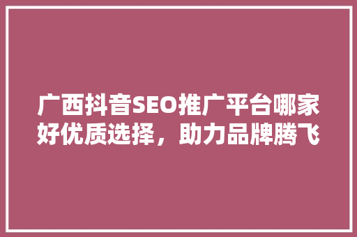 广西抖音SEO推广平台哪家好优质选择，助力品牌腾飞