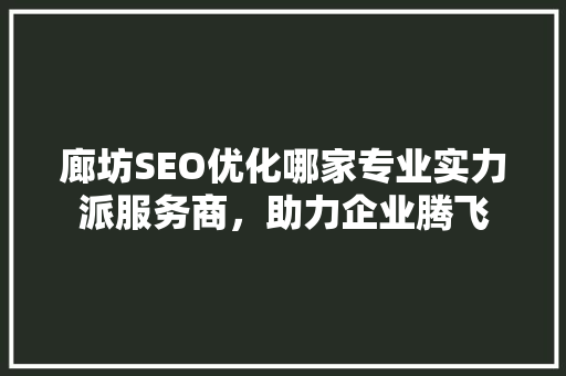 廊坊SEO优化哪家专业实力派服务商，助力企业腾飞