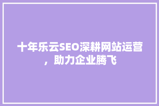 十年乐云SEO深耕网站运营，助力企业腾飞
