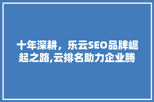 十年深耕，乐云SEO品牌崛起之路,云排名助力企业腾飞的秘密武器