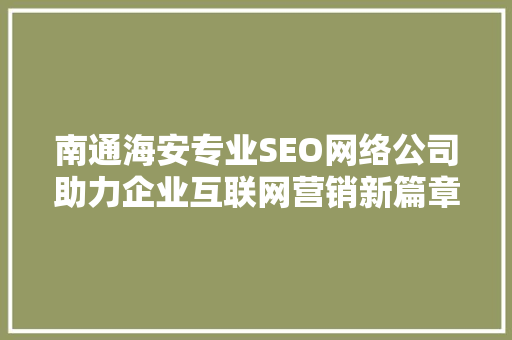 南通海安专业SEO网络公司助力企业互联网营销新篇章