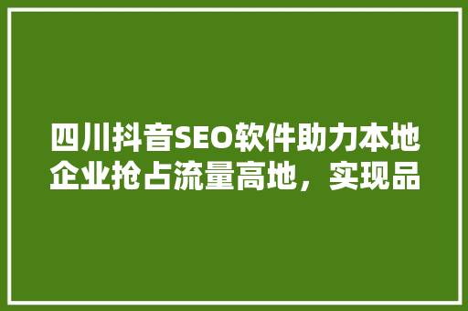 四川抖音SEO软件助力本地企业抢占流量高地，实现品牌价值最大化