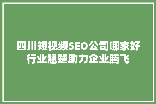 四川短视频SEO公司哪家好行业翘楚助力企业腾飞