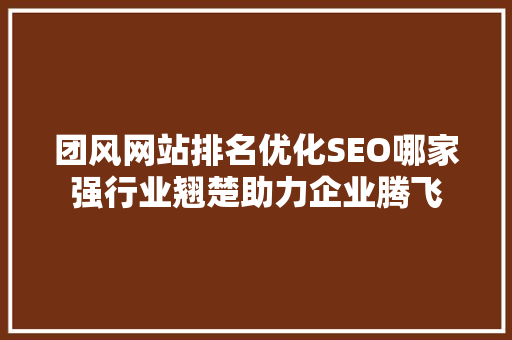 团风网站排名优化SEO哪家强行业翘楚助力企业腾飞