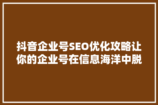 抖音企业号SEO优化攻略让你的企业号在信息海洋中脱颖而出