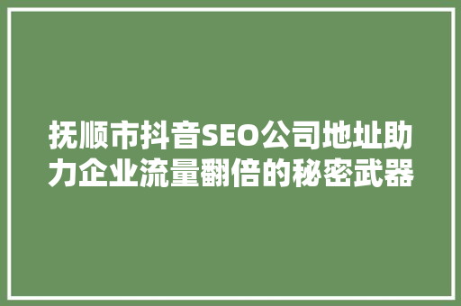抚顺市抖音SEO公司地址助力企业流量翻倍的秘密武器