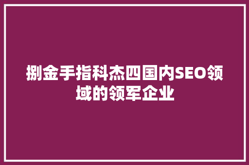 捌金手指科杰四国内SEO领域的领军企业