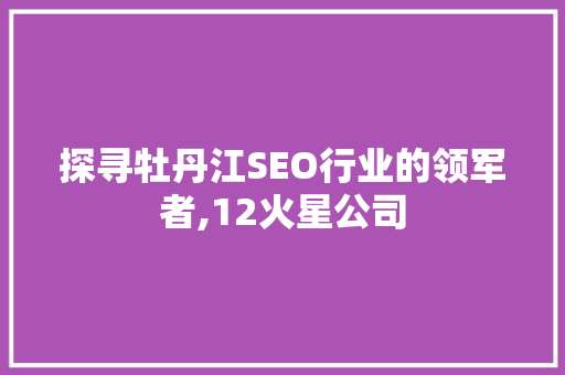 探寻牡丹江SEO行业的领军者,12火星公司