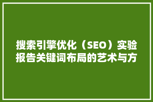 搜索引擎优化（SEO）实验报告关键词布局的艺术与方法