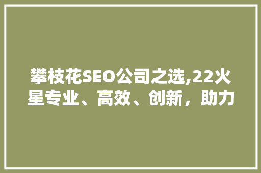 攀枝花SEO公司之选,22火星专业、高效、创新，助力企业腾飞
