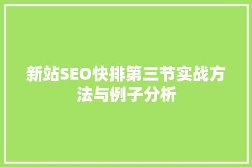 新站SEO快排第三节实战方法与例子分析