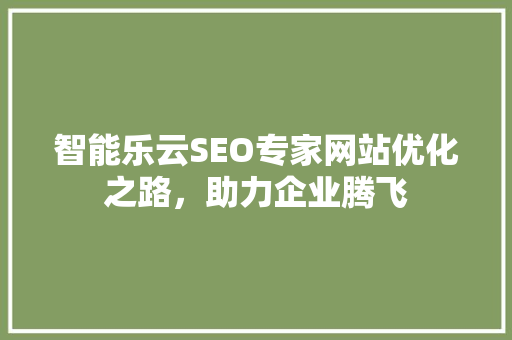 智能乐云SEO专家网站优化之路，助力企业腾飞
