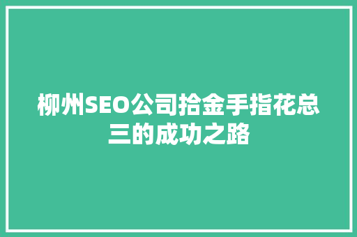 柳州SEO公司拾金手指花总三的成功之路