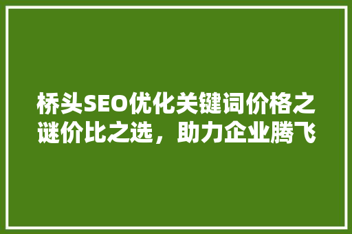 桥头SEO优化关键词价格之谜价比之选，助力企业腾飞