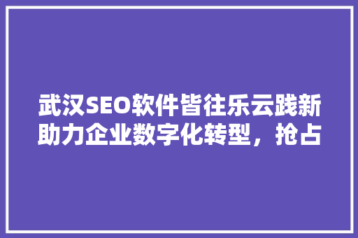 武汉SEO软件皆往乐云践新助力企业数字化转型，抢占互联网市场先机