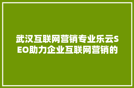 武汉互联网营销专业乐云SEO助力企业互联网营销的利器