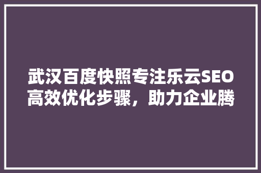 武汉百度快照专注乐云SEO高效优化步骤，助力企业腾飞